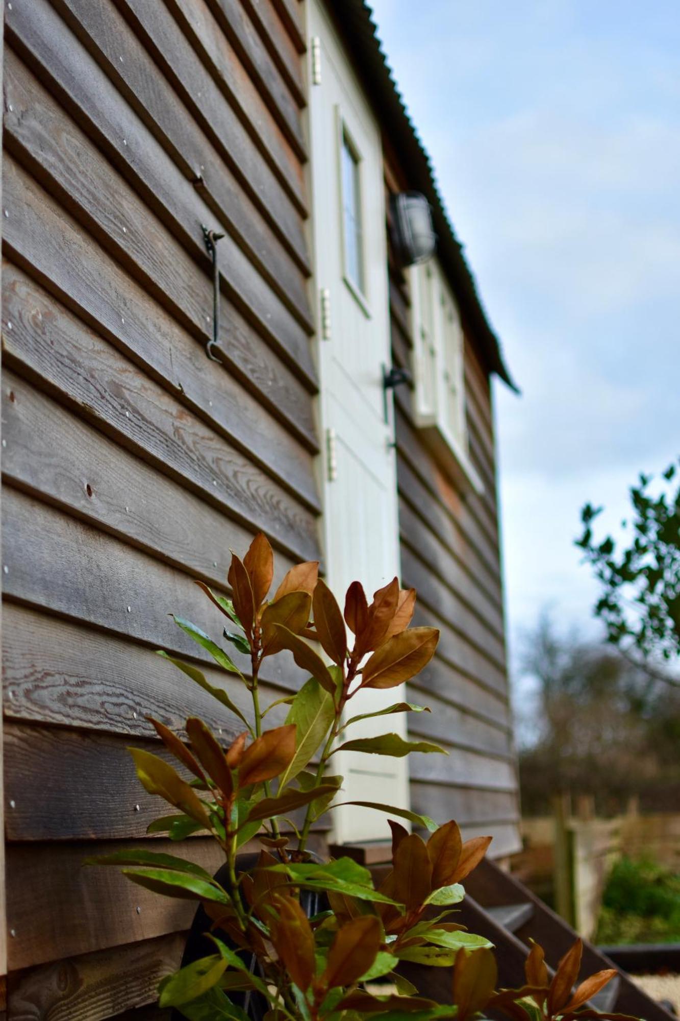 Appartamento The Deer Hut Burpham Esterno foto